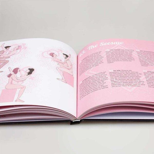 Kamasutra livre des positions - Secret play – Image 7