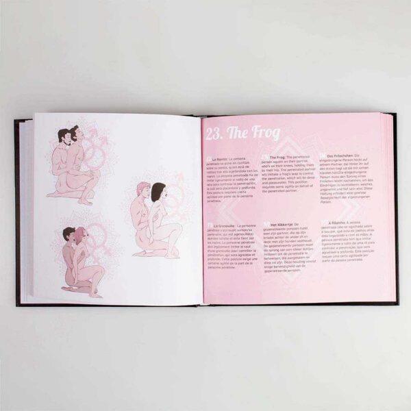 Kamasutra livre des positions - Secret play – Image 9