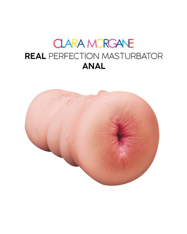 Real perfection masturbateur anus – Image 5