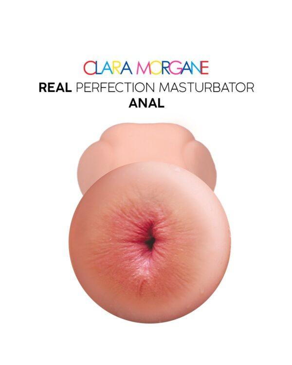 Real perfection masturbateur anus – Image 4