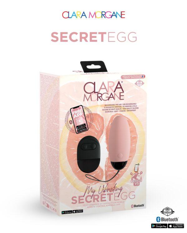 My vibrating secret egg - Rose – Image 4