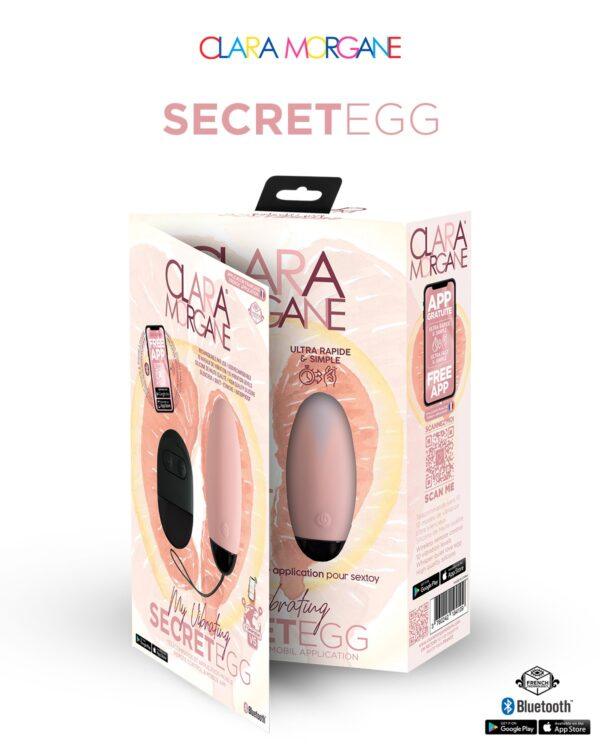 My vibrating secret egg - Rose – Image 5