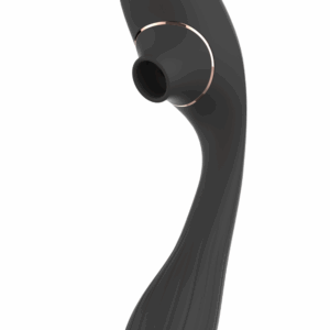 Stimulateur Clitoridien Vibromasseur Point G 2-en-1 DINA Noir