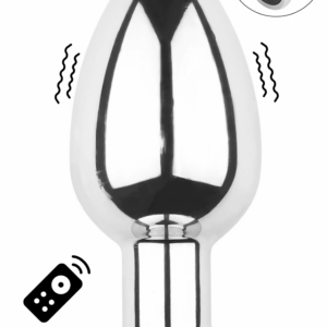 Plug vibrant acier inoxydable anal taille M avec télécommande, USB BOOTY