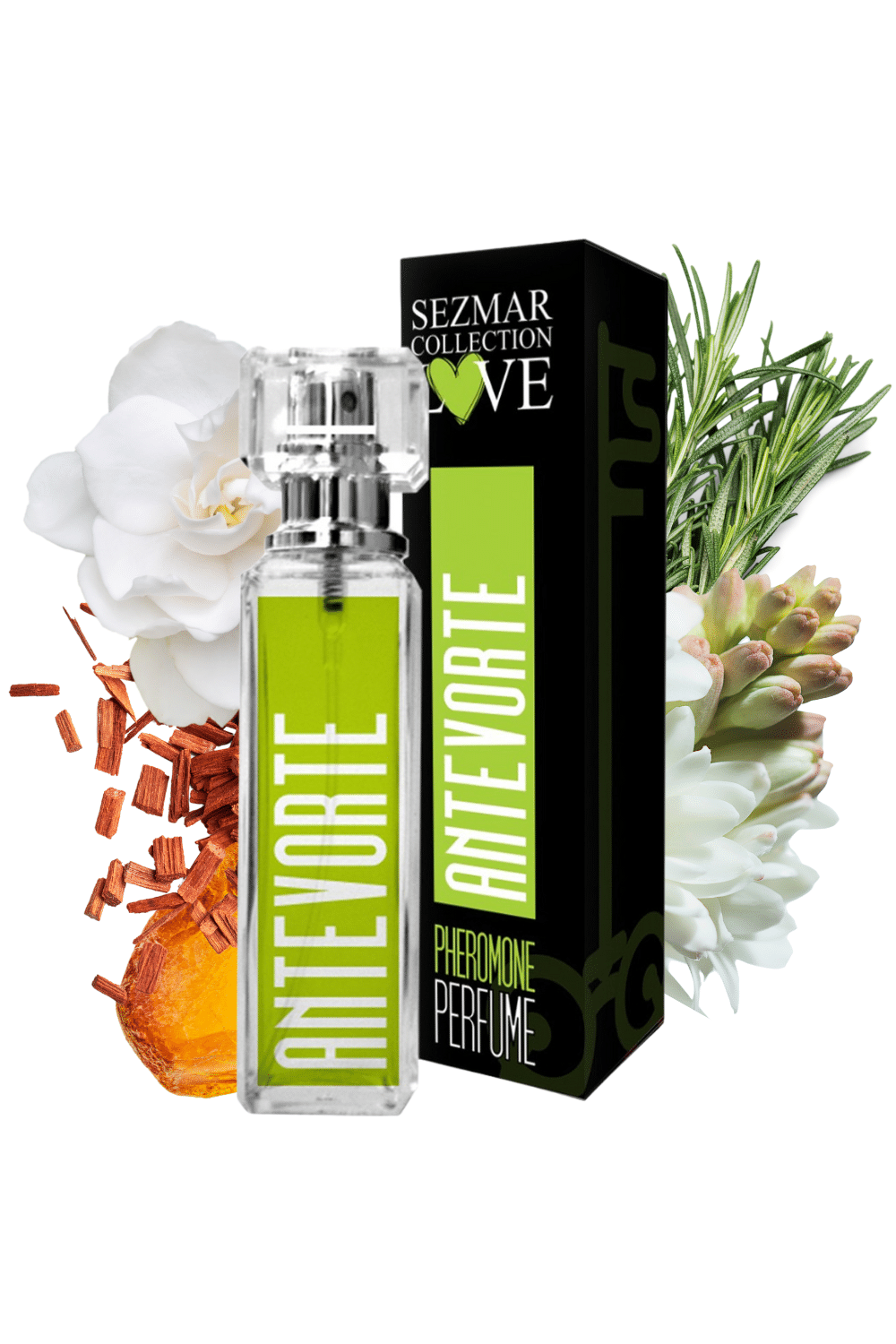 Parfum phéromones Antevorde 100% naturel 30ml