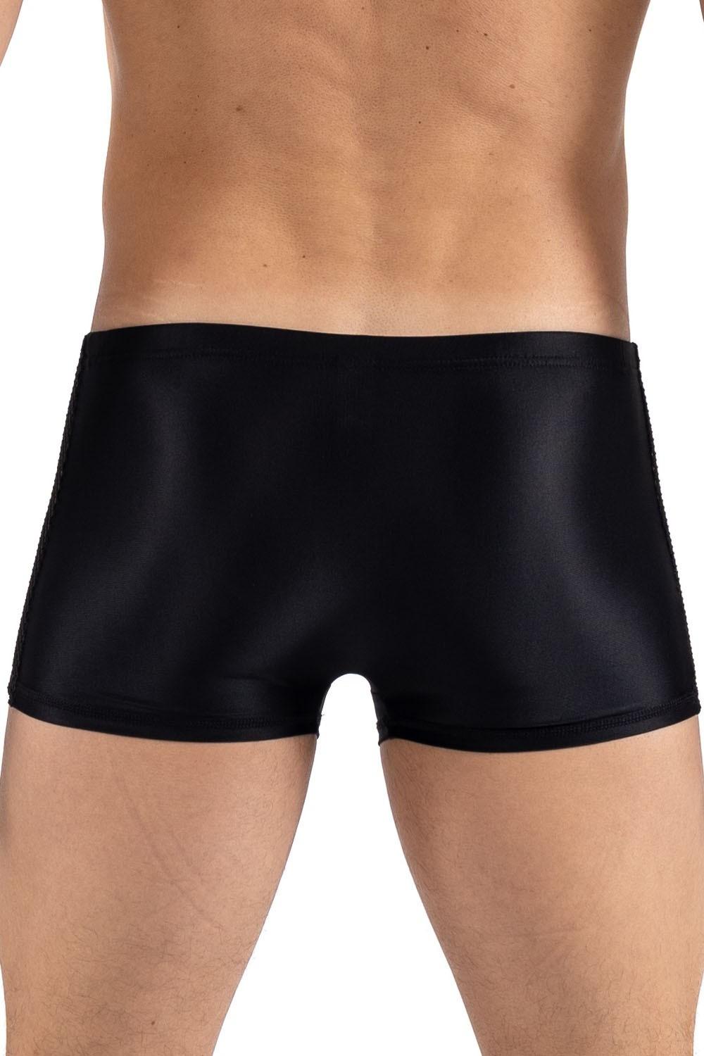 Boxer noir Daring