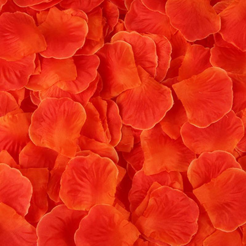 Pack de 100 Pétales de Rose