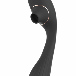 Stimulateur Clitoridien Vibromasseur Point G 2-en-1 DINA Noir