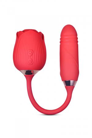 stimulateur va-et-vient – vue 4